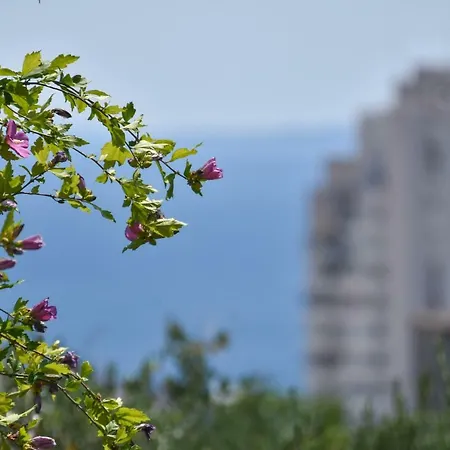 Apartment Neyra Split